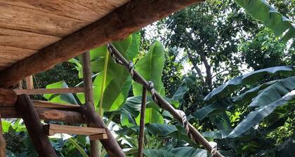 Maloka Surf Cabaña Beachfront