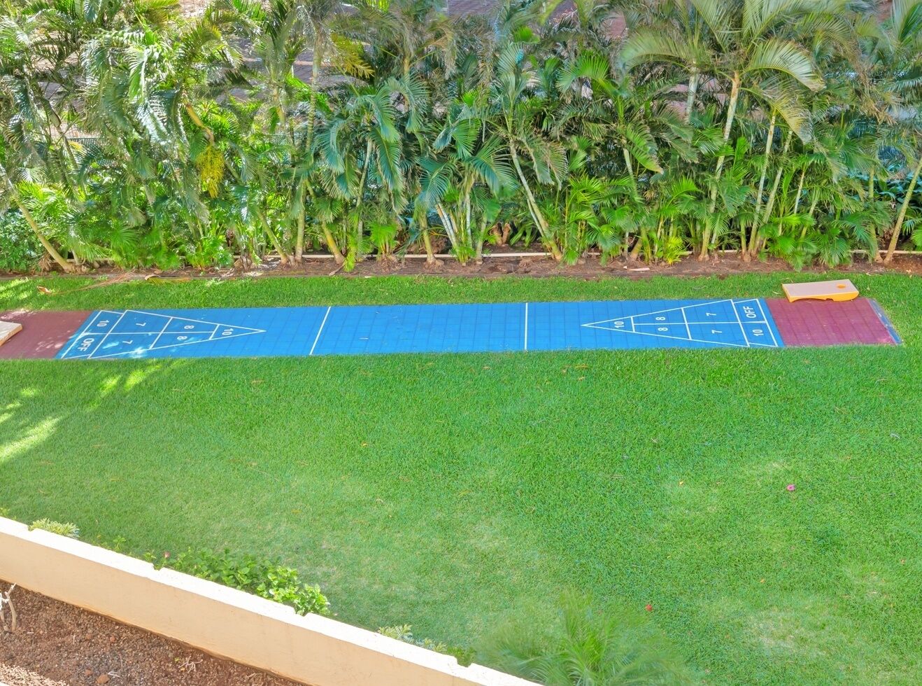Una cancha de shuffleboard azul y roja rodeada de césped verde y palmeras.