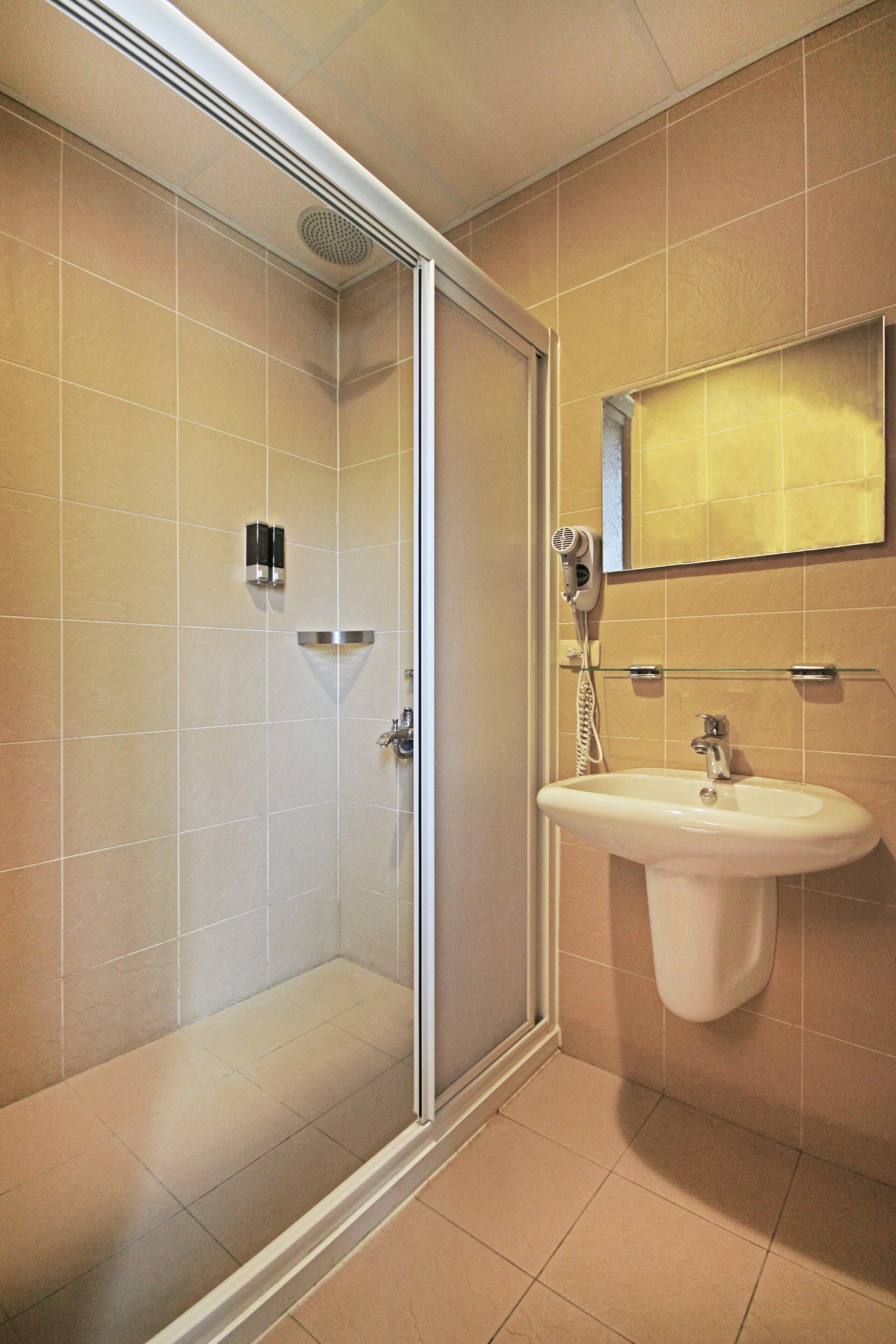 shower, hair dryer, shampoo, toilet paper