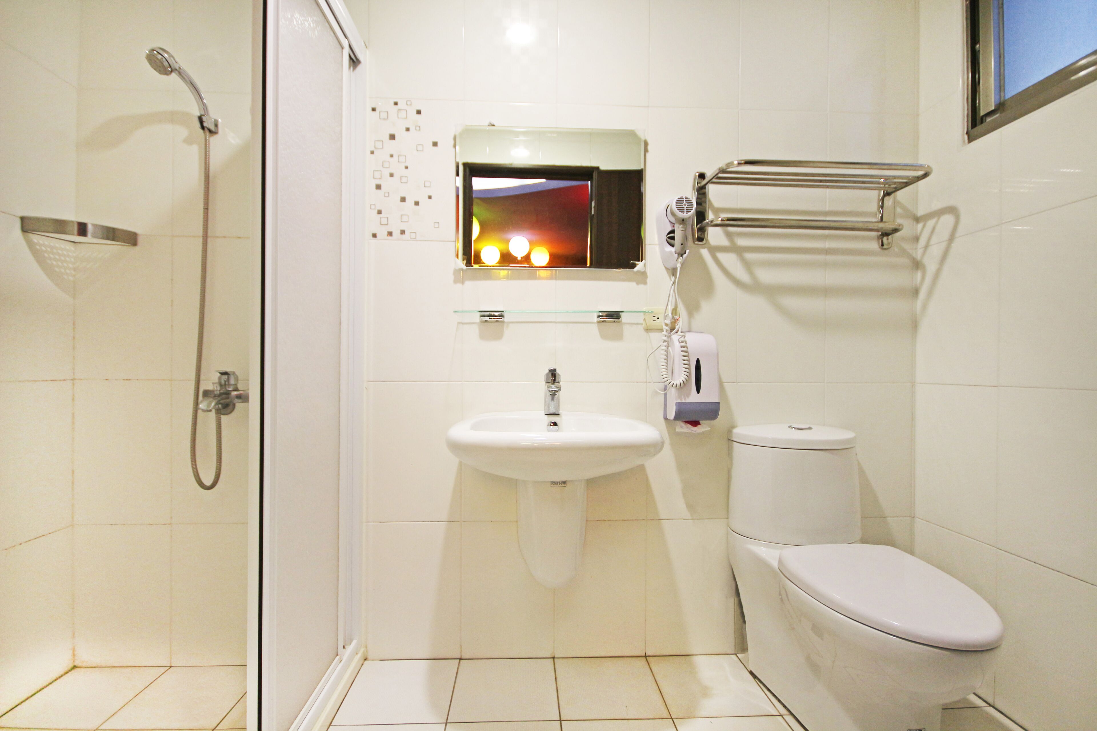 shower, hair dryer, shampoo, toilet paper