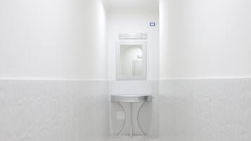 Shower, hair dryer, bidet, towels