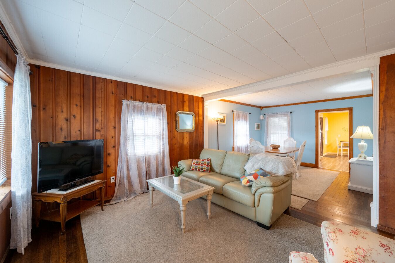 智能電視、DVD 播放機