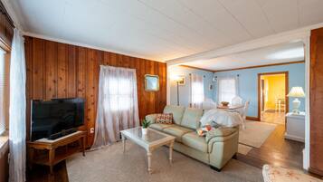 智能電視、DVD 播放機