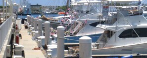 Marina com vários iates atracados, apresentando um canal navegável e um barco a remo junto ao cais.