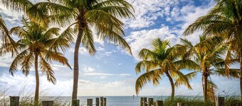 The Dancing Rooster: 2 Blocks from Duval in Old Town.