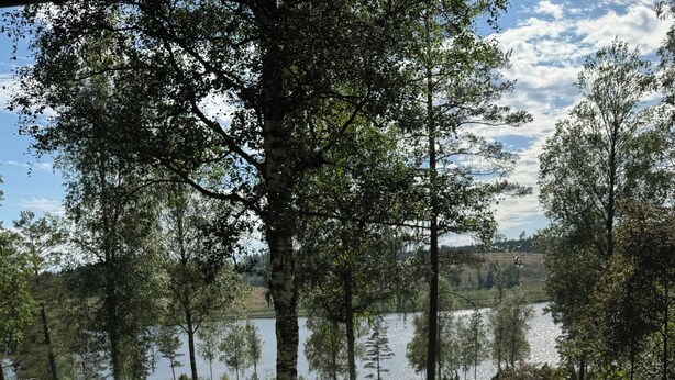 Une terrasse en bois avec une table et des chaises, donnant sur un lac et entourée d’arbres.