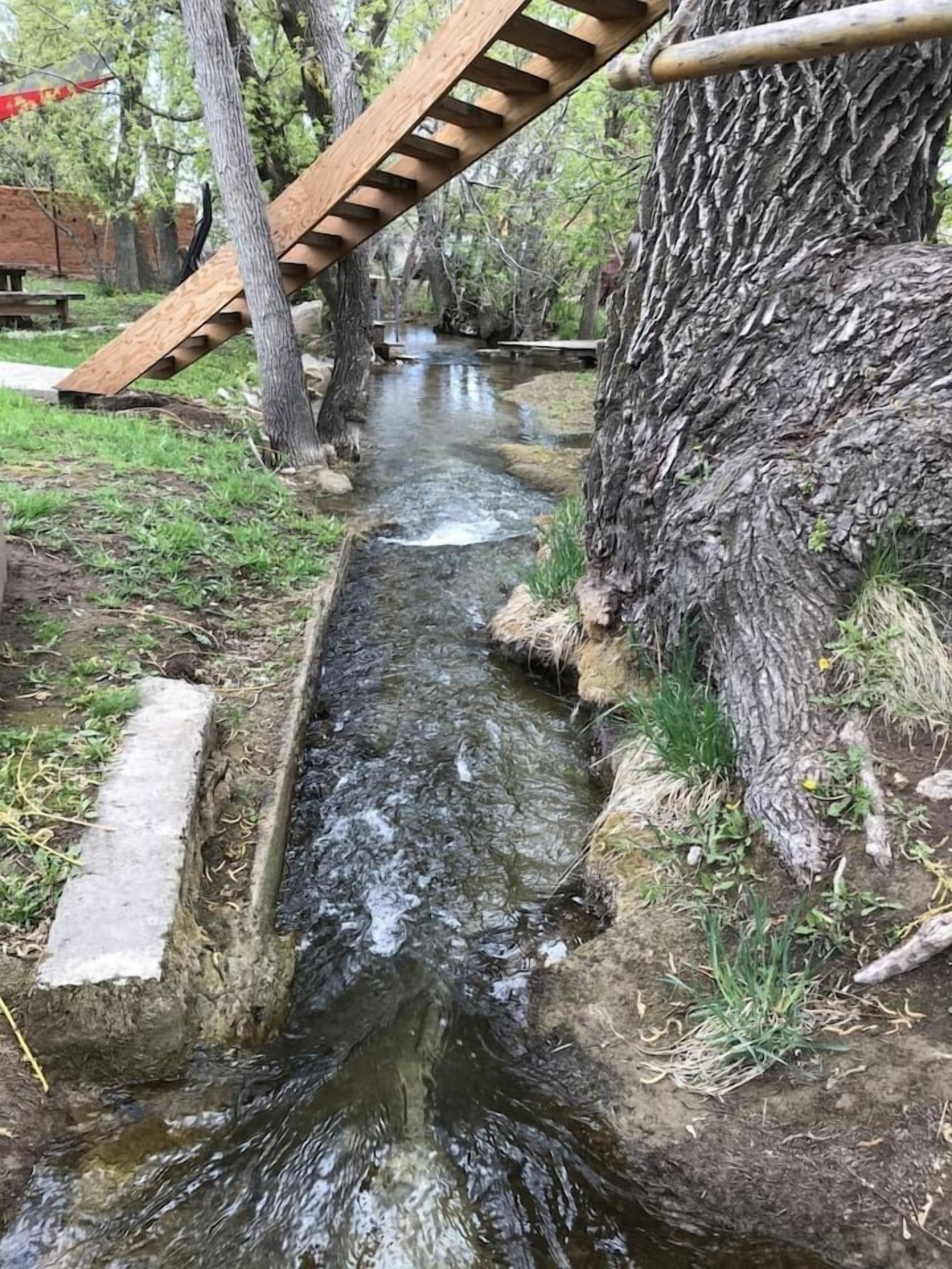 Een smalle beek met een houten brug, omgeven door bomen en gras.