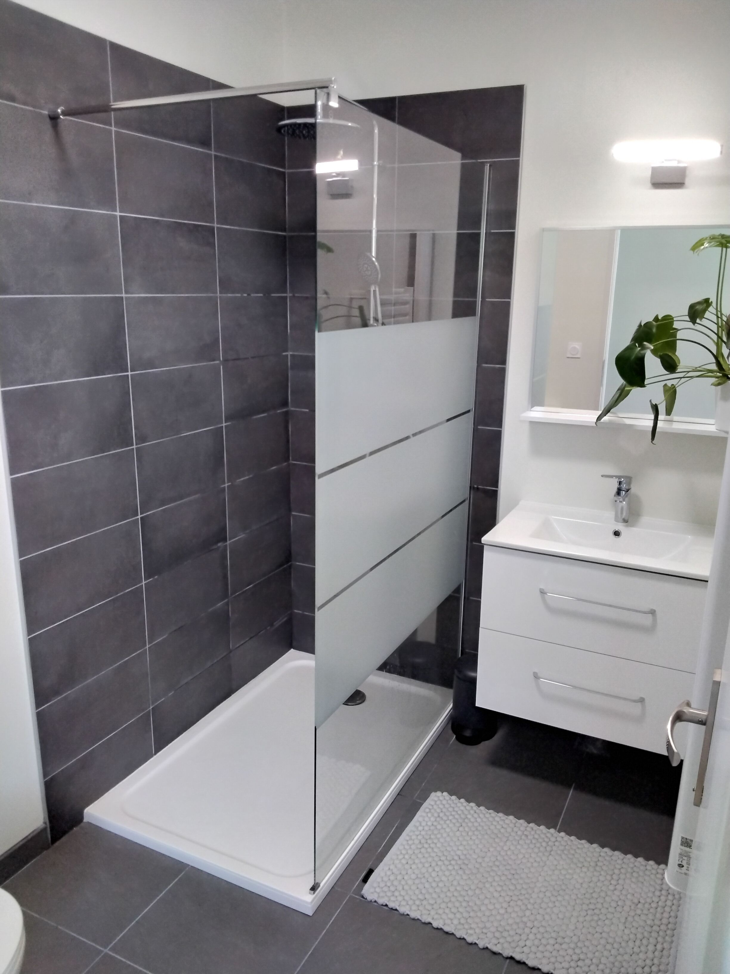 Regadera, toallas, jabón, papel de baño 