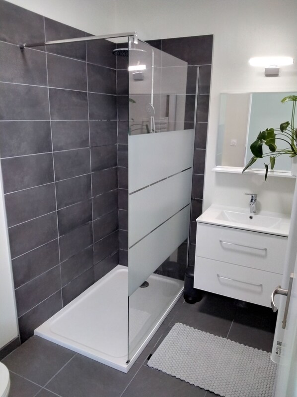 Shower, towels, soap, toilet paper