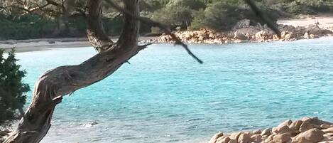 Spiaggia