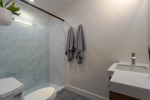 Shower, hair dryer, towels