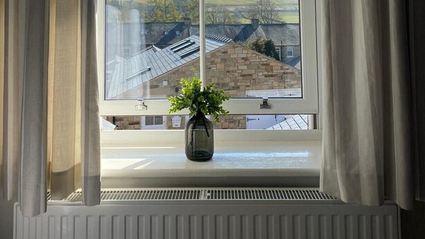 Uma janela com vista para uma paisagem rural, um radiador embaixo e um vaso com plantas verdes no parapeito.