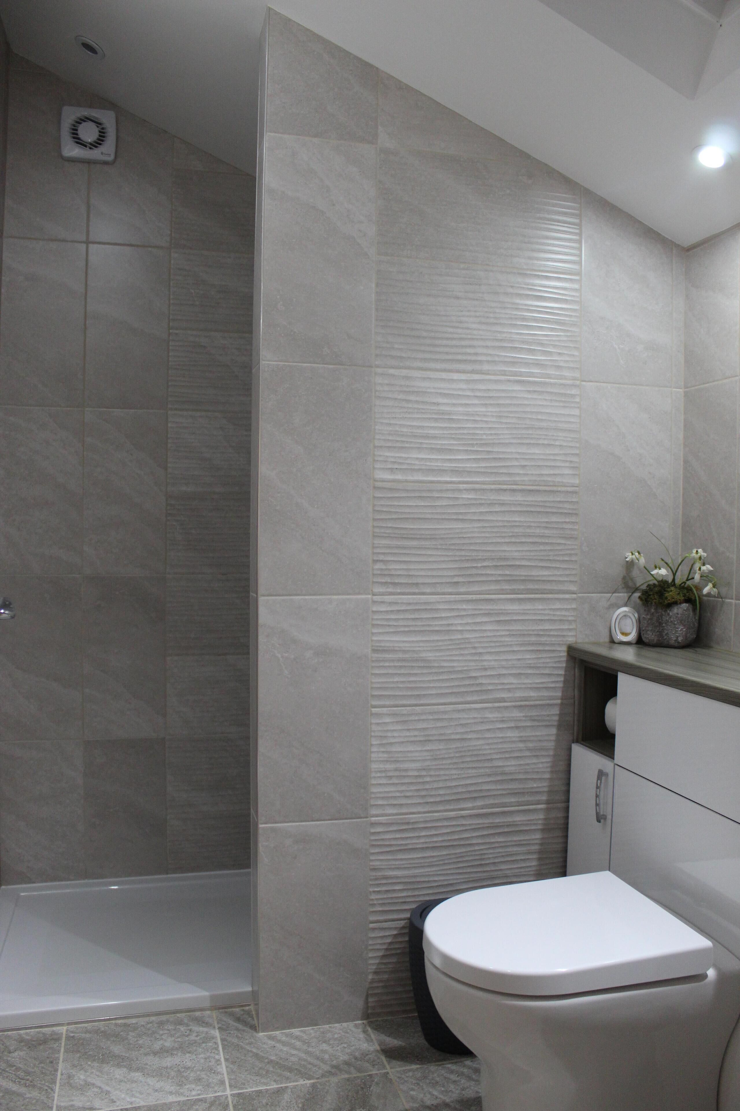 A modern bathroom with a shower, toilet, and a small shelf with a plant.