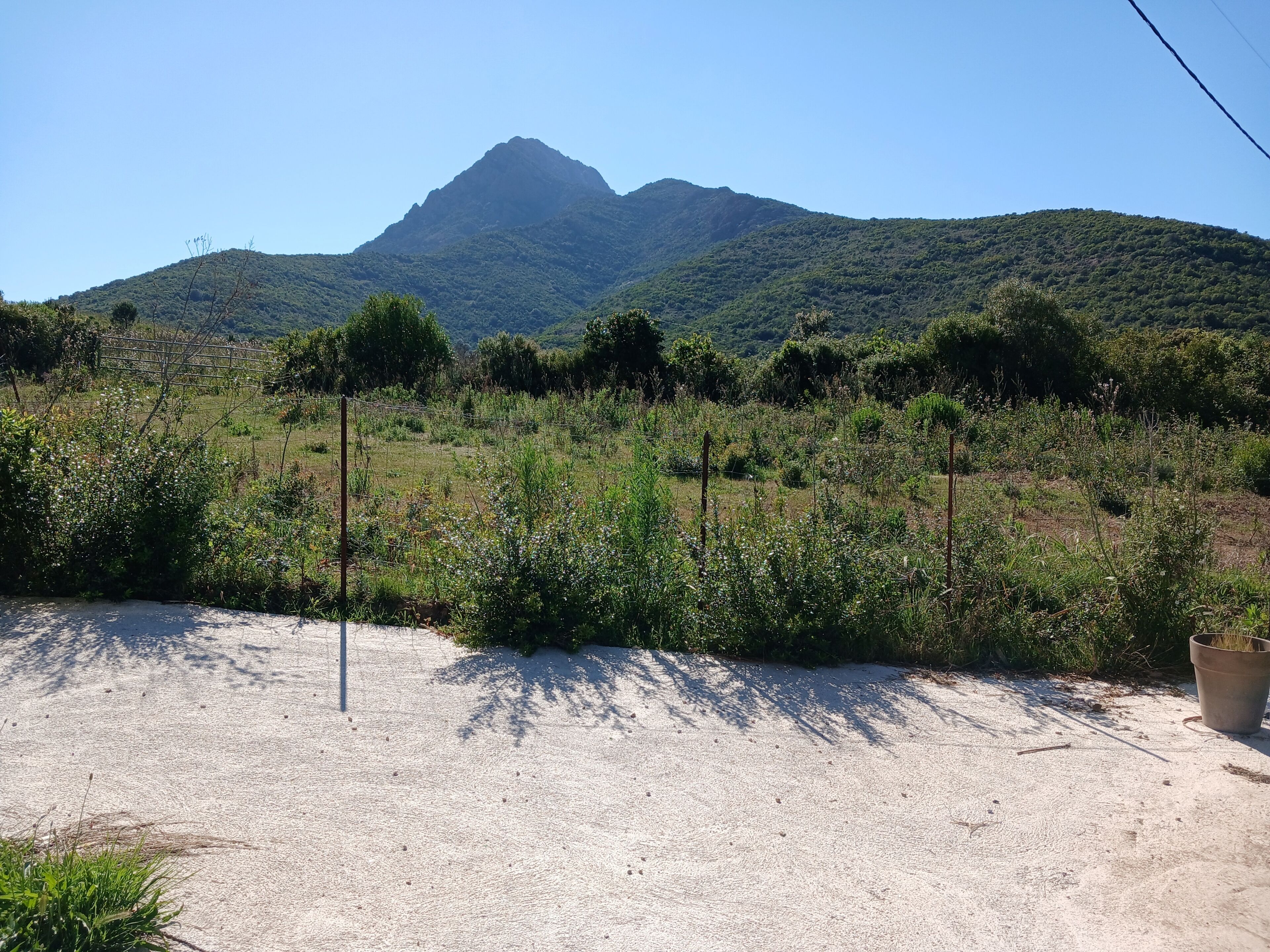Un paysage naturel avec une montagne en arrière-plan et une zone de gravier au premier plan.