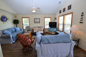 TV, DVD player, books, video library