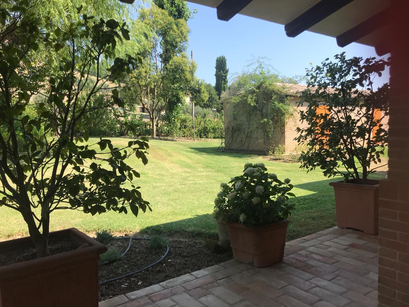 Parco della struttura