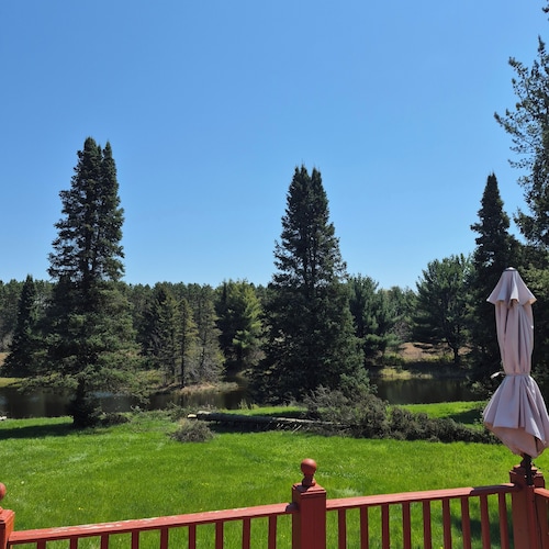 SECLUDED WOODLAND ESCAPE NEAR WISCONSIN DELLS WITH POND ON 80 PRIVATE ACRES