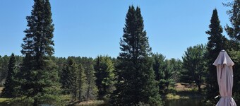 SECLUDED WOODLAND ESCAPE NEAR WISCONSIN DELLS WITH POND ON 80 PRIVATE ACRES