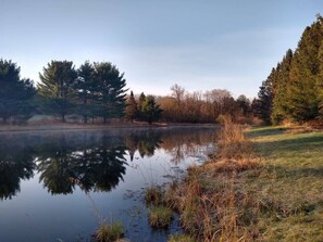 Miscellaneous - Wisconsin Dells Vacation Home -secluded property in the woods on 80 acres (Lyndon Station)
