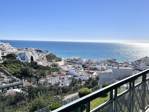 Apartemen Deluks, akses difabel, ensuite | Pemandangan dari properti