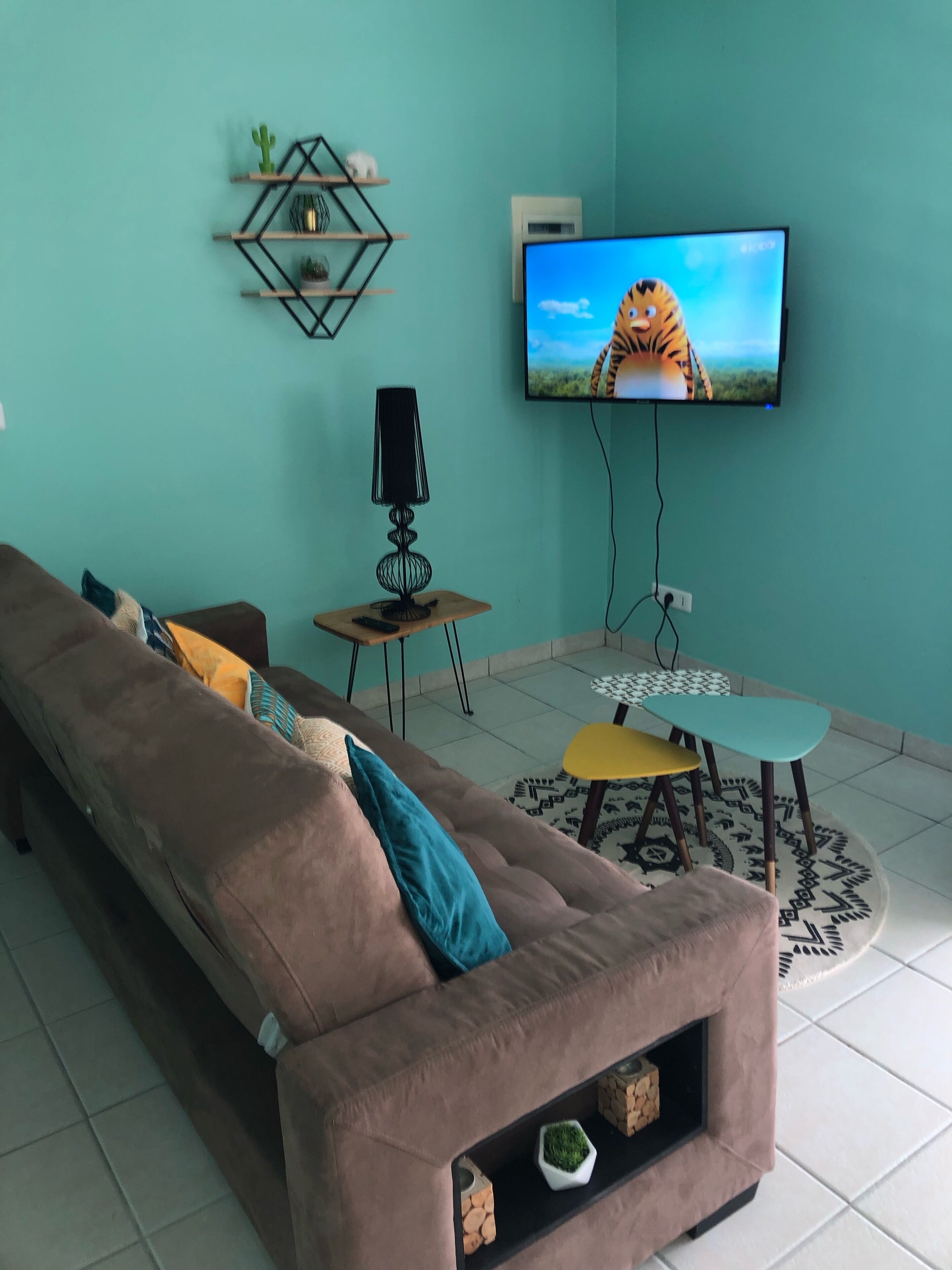 TV