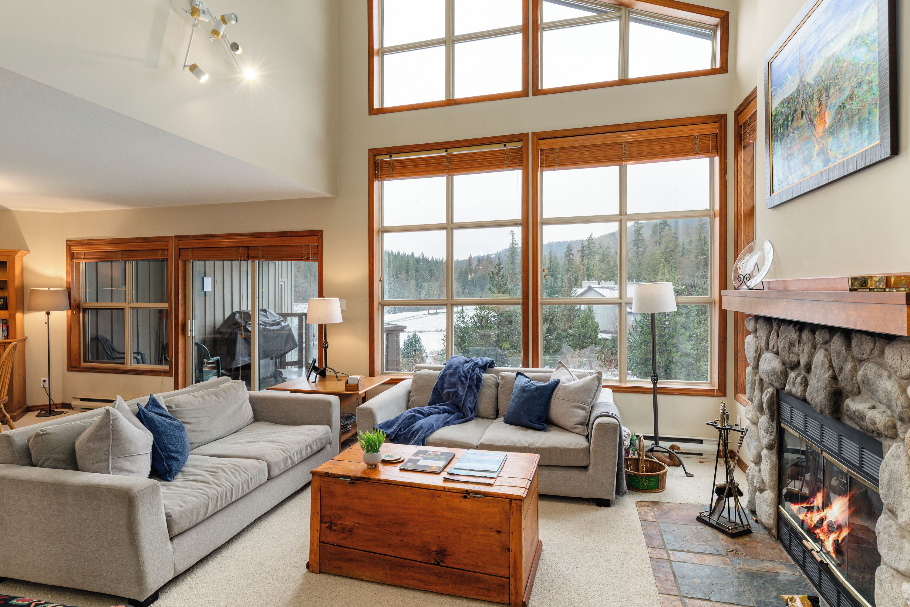 Een televisie, een open haard, een dvd-speler en boeken