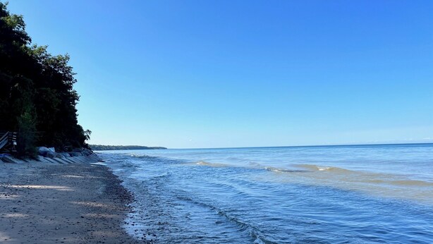 Beach nearby - Ultimate Family Retreat: Pool, Huge Yard, Gardens, Chickens, 5 Beaches Closeby (Fennville)