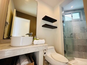 Chuveiro, secador de cabelo, toalhas de banho, sabonete