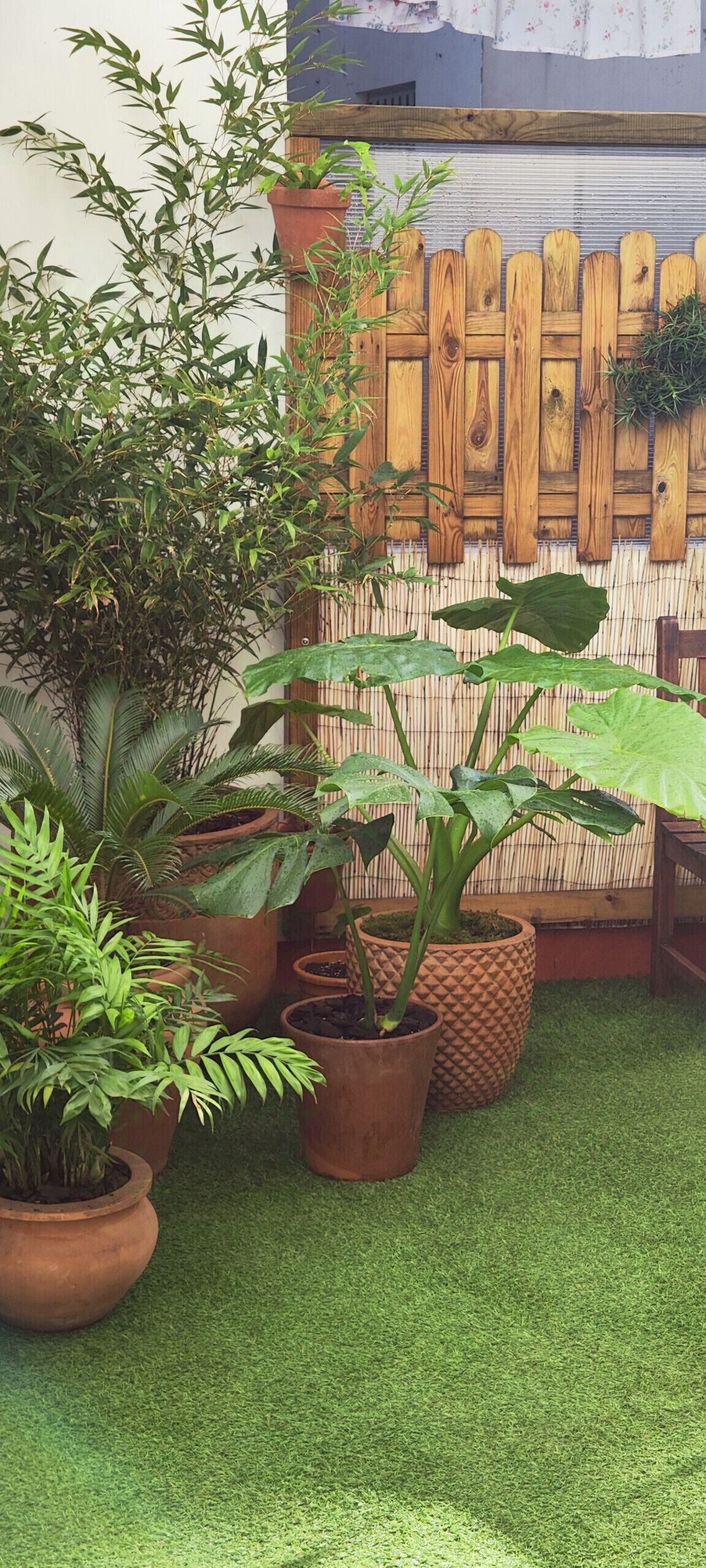 Área da propriedade