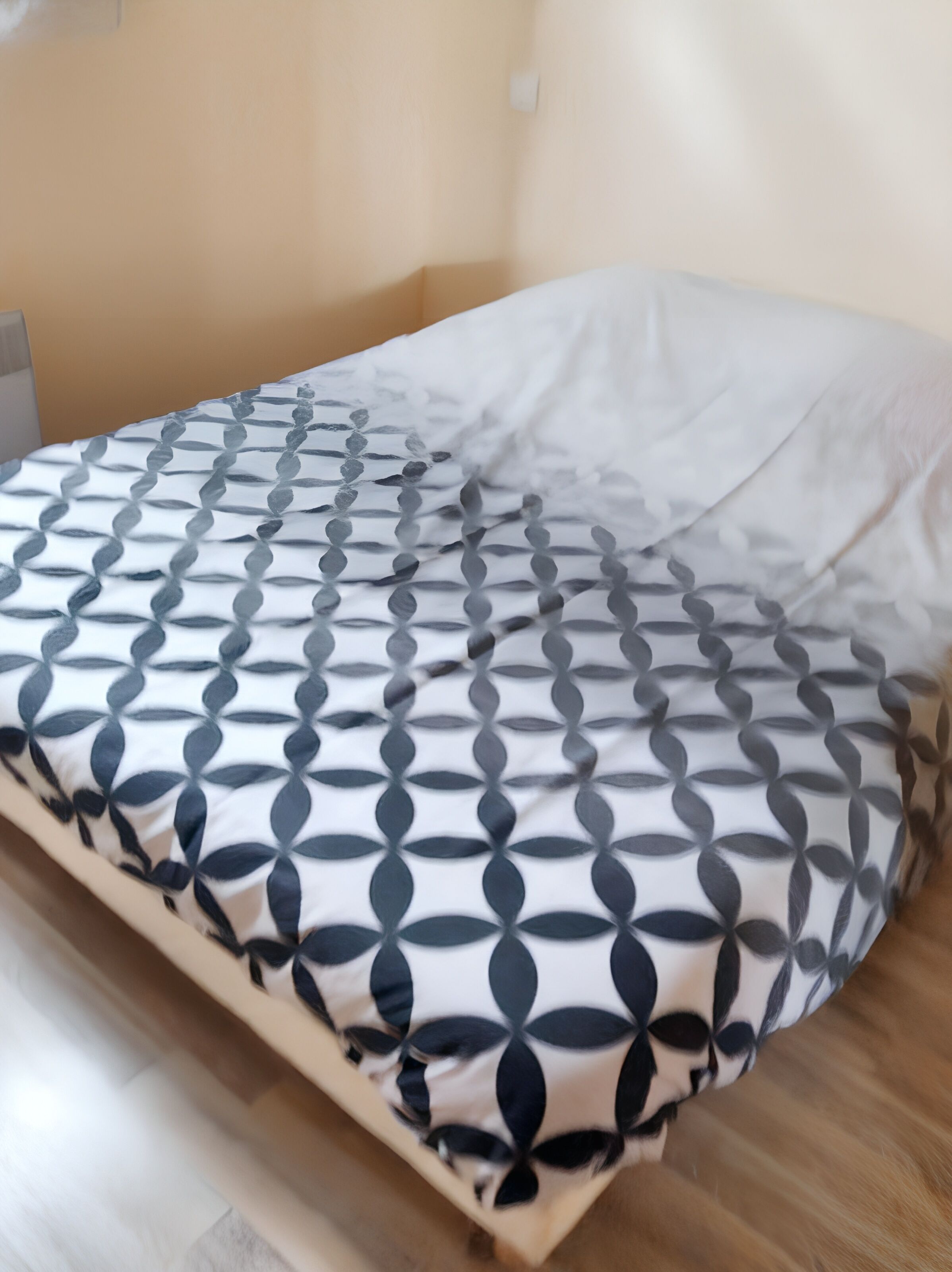 2 chambres, fer et planche à repasser