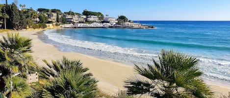 Plage à proximité, chaises longues, serviettes de plage