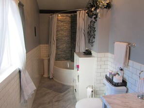 Combined shower/bathtub, hair dryer, towels, toilet paper