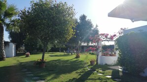 A well-maintained garden with a variety of potted plants and a clear pathway.
