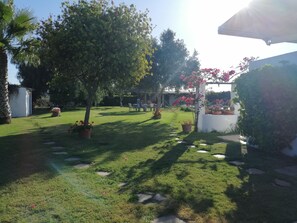 Área da propriedade