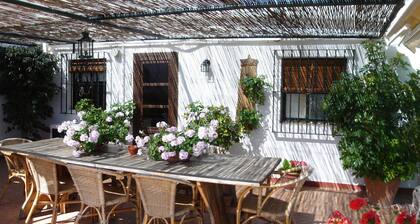 Country house with pool, BBQ, ping-pong, billiard 5 min. from the beach by bike.