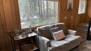Ein gemütliches Zimmer mit großem Fenster, einem grauen Sofa, einem kleinen Tisch mit Pflanze und einem gerahmten Bild an der Wand.