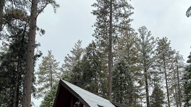 Eine rote Holzhütte mit einer Holzterrasse, umgeben von hoch aufragenden Kiefern.