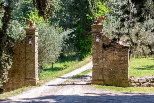 Property grounds - House Il Cipresso in the heart of Chianti with swimming pool (Castellina in Chianti)