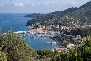 A coastal town with a marina, buildings, and hills.