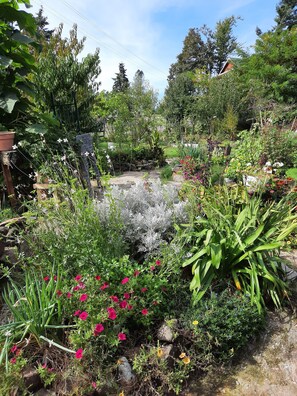 Property grounds - Nice river views, easyaccess to river, (Elkton)