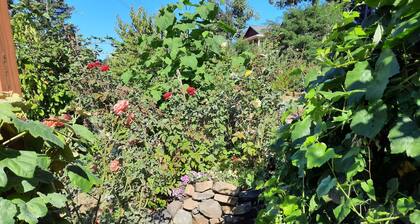 Nice river views, easyaccess to river,