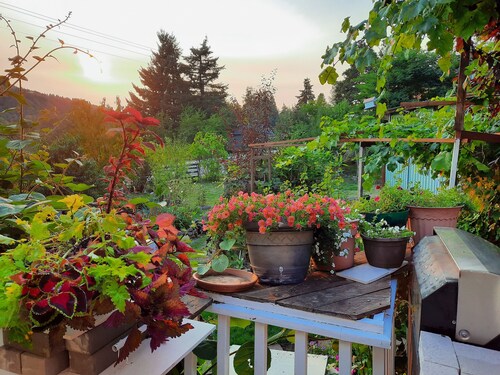 Nice river views, easyaccess to river,