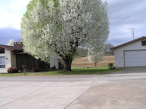 Property grounds - 1-Mile from Conley Bottom's ramp (Monticello)