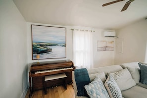 Smart TV, DVD player, books, video library