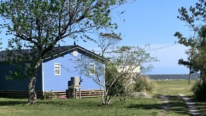 Uma propriedade rural com uma casa azul, um caminho de terra e uma árvore.