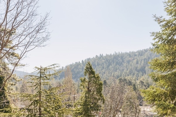 View from Patio