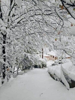 Unclassified image, 4 of 46, button