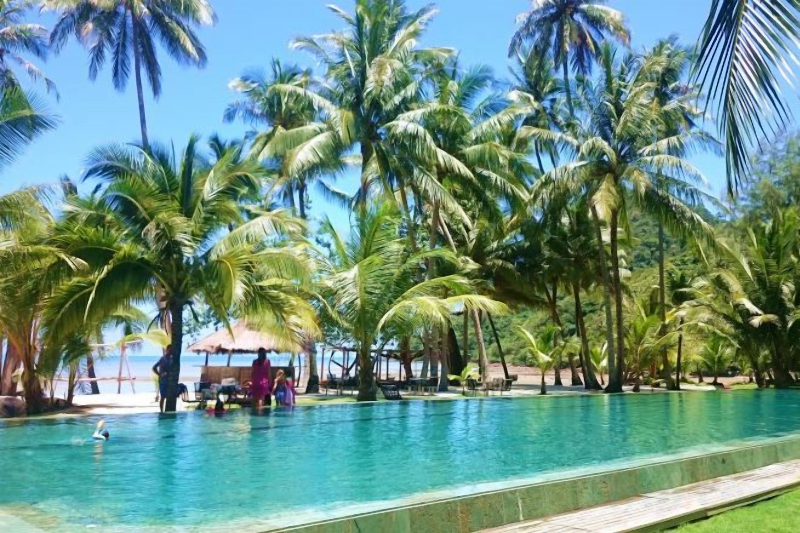 A swimming pool surrounded by palm trees, with a clear sky above.