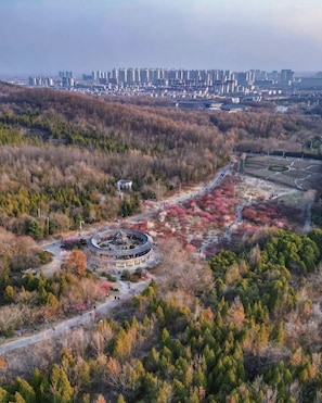 An aerial view of a park with a traditional pavilion, pathways, and a distant cityscape. - Greentree INN Huainan Jinjialing Road Oriental General Hospital (Huainan)