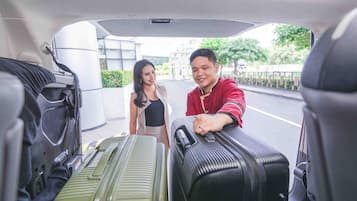 A car interior with luggage in the trunk.